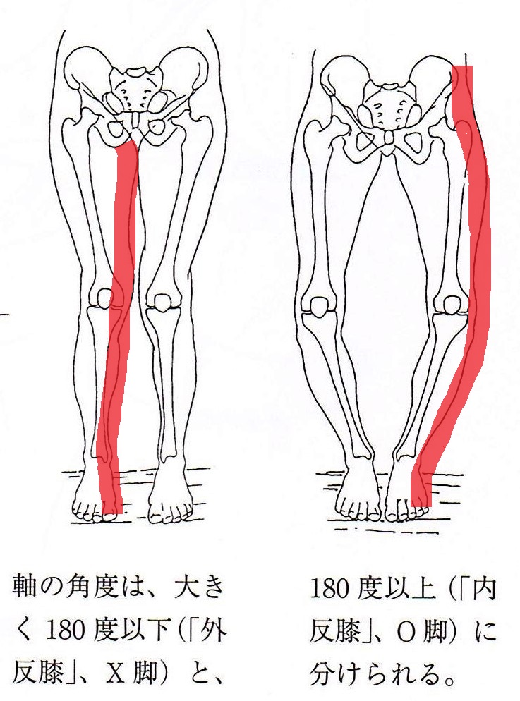 ＯＯＯ　脚部分 O脚/X脚の仕組みと改善方法とは？
